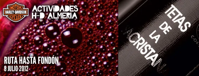 RUTA A FONDÓN TouringAlmeria