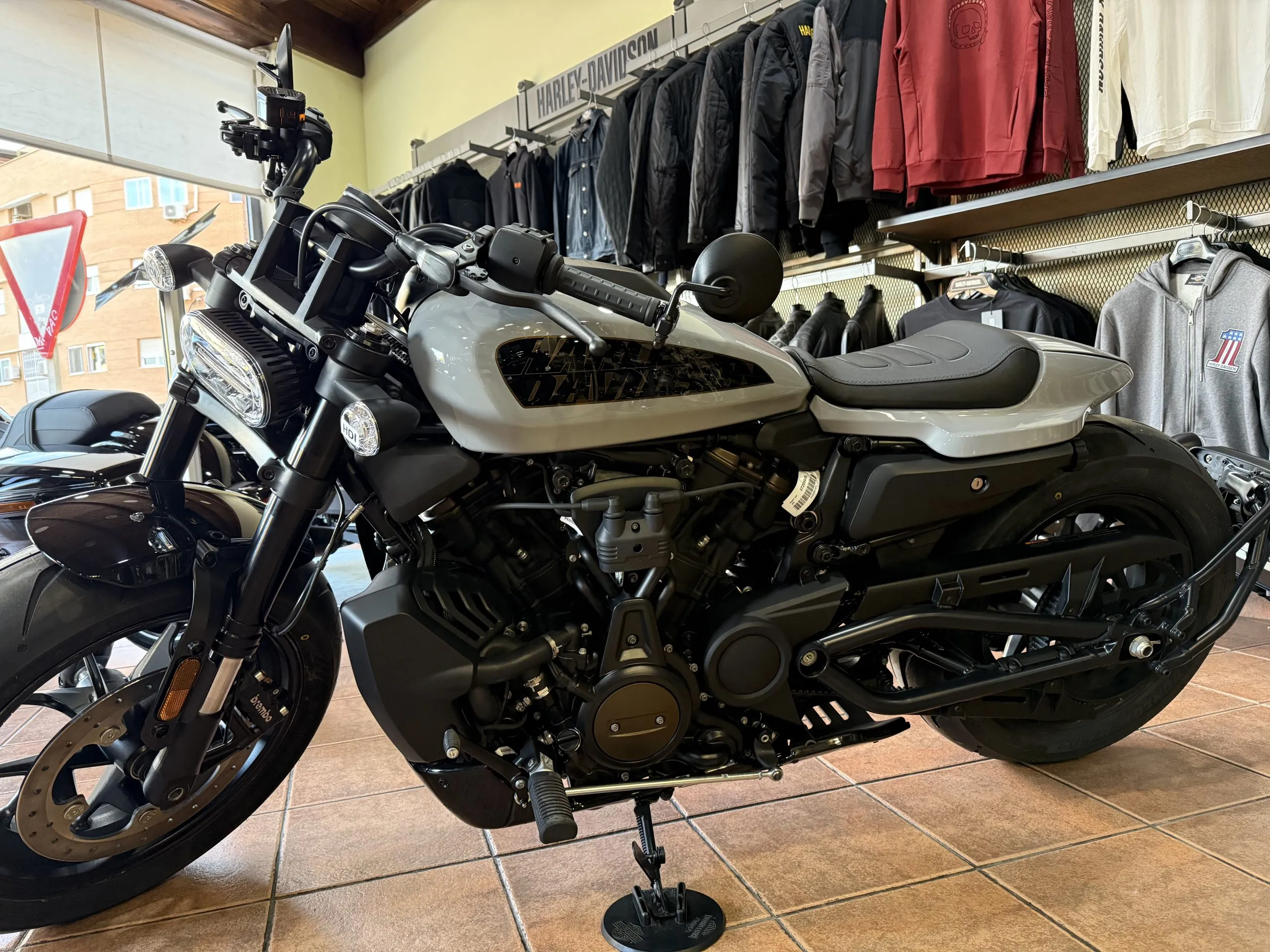 Sportster S Billiard Gray