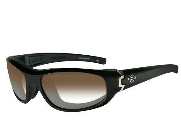 Gafas CURVE brown lens/Gloss black frame