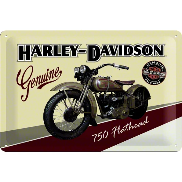 Placa chapa HD Flathead